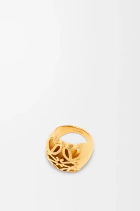 Anagram Bombé zegelring