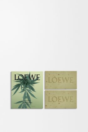 Duo-set zeepjes met Scent of Marihuana