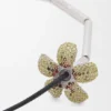 Flor-ketting van sterlingzilver en kristallen Flor-ketting van sterlingzilver en kristallen