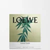 Grote geurkaars met Scent of Marihuana Grote geurkaars met Scent of Marihuana