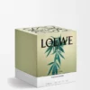 Grote geurkaars met Scent of Marihuana Grote geurkaars met Scent of Marihuana