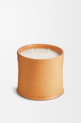 Grote Oranjebloesemkaars