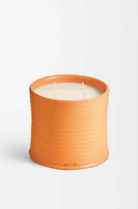 Grote Oranjebloesemkaars