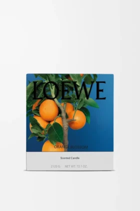 Grote Oranjebloesemkaars