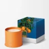 Grote Oranjebloesemkaars Grote Oranjebloesemkaars
