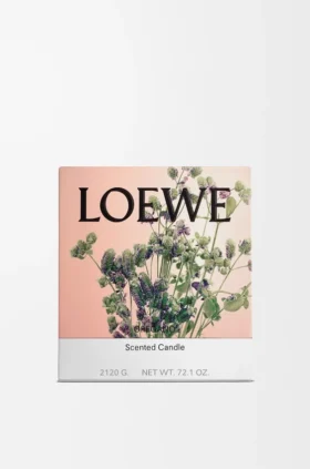 Grote Oregano-kaars