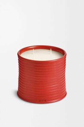 Kaars met grote Tomatenbladeren