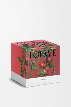 Kaars met grote Tomatenbladeren