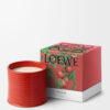 Kaars met grote Tomatenbladeren Kaars met grote Tomatenbladeren