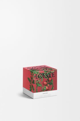 Kaars met kleine tomatenbladeren