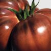 Medium Tomatenbladeren-kaars