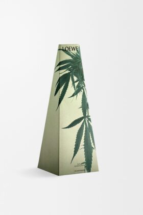 Kaarsenhouder met Scent of Marihuana Kaarsenhouder met Scent of Marihuana