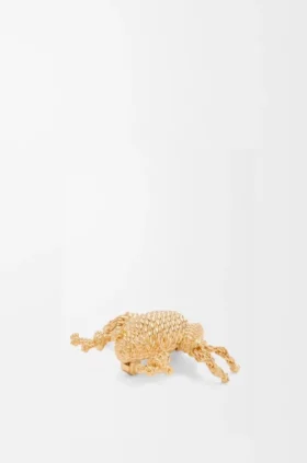 Kikkerbroche