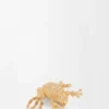 Kikkerbroche Kikkerbroche