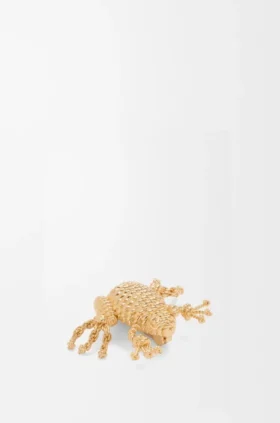 Kikkerbroche