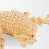 Kikkerbroche Kikkerbroche