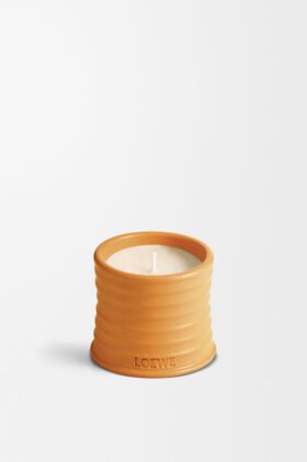 Kleine Oranjebloesemkaars Kleine Oranjebloesemkaars