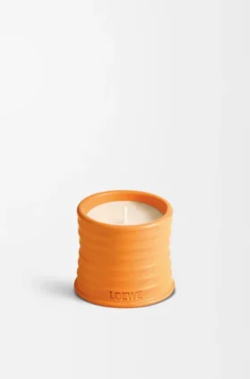 Kleine Oranjebloesemkaars
