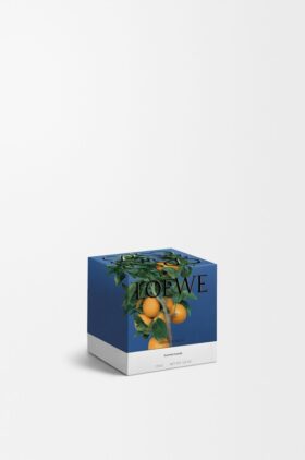 Kleine Oranjebloesemkaars Kleine Oranjebloesemkaars