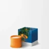 Kleine Oranjebloesemkaars Kleine Oranjebloesemkaars