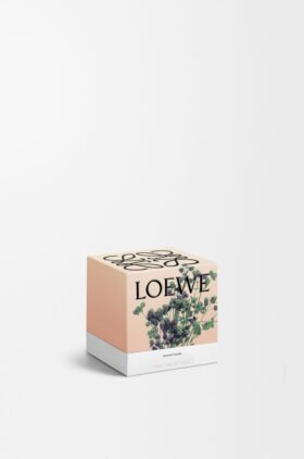 Kleine Oregano-kaars Kleine Oregano-kaars