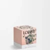 Kleine Oregano-kaars Kleine Oregano-kaars