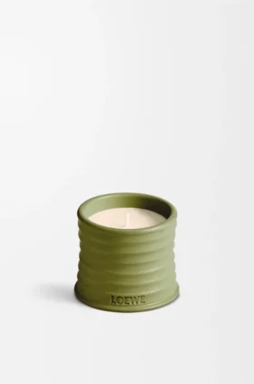 Kleine pistachekaars