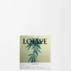 Kleine Scent of Marihuana-kaars Kleine Scent of Marihuana-kaars