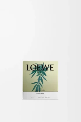 Kleine Scent of Marihuana-kaars