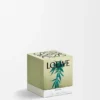 Kleine Scent of Marihuana-kaars Kleine Scent of Marihuana-kaars