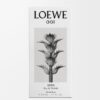 Loewe 001 Man Eau de Toilette 50 ml Loewe 001 Man Eau de Toilette 50 ml