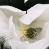 Loewe Aura White Magnolia 50 ml