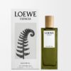 Loewe Esencia EDP 50 ml