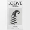 Loewe Esencia EDT 150 ml