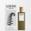 Loewe Esencia EDT 50 ml