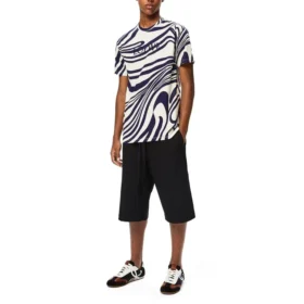 Loewe gestreept katoenen T-shirt met korte mouwen voor heren, wit en blauw, H526341X72-2091