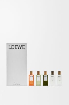 loewe Miniatuurset loewe Miniatuurset