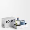 LOEWE Parfums Huisgeuren Cipresballen cadeauset LOEWE Parfums Huisgeuren Cipresballen cadeauset