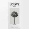 Loewe Solo Vulcan EDP 50 ml Loewe Solo Vulcan EDP 50 ml