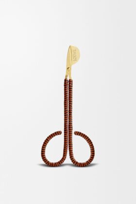 Lontknipper