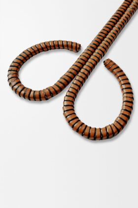 Lontknipper