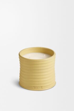 Medium Kamperfoelie Candle Medium Kamperfoelie Candle