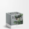 Medium Kamperfoelie Candle