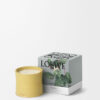 Medium Kamperfoelie Candle