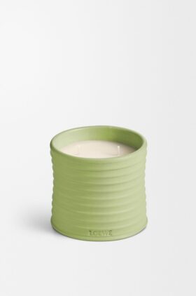 Medium komkommerkaars Medium komkommerkaars