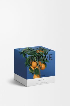 Medium Oranjebloesem-kaars Medium Oranjebloesem-kaars