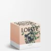 Medium Oregano-kaars Medium Oregano-kaars