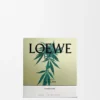 Middelgrote kaars met Scent of Marihuana Middelgrote kaars met Scent of Marihuana