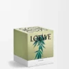 Middelgrote kaars met Scent of Marihuana Middelgrote kaars met Scent of Marihuana