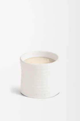 Middelgrote Oregano-kaars
